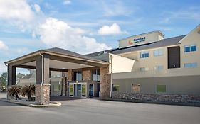 Comfort Inn & Suites Crystal Inn Sportsplex